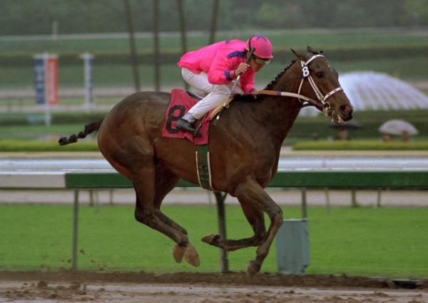 Racehorse number eight running with a jockey in hot pink silks