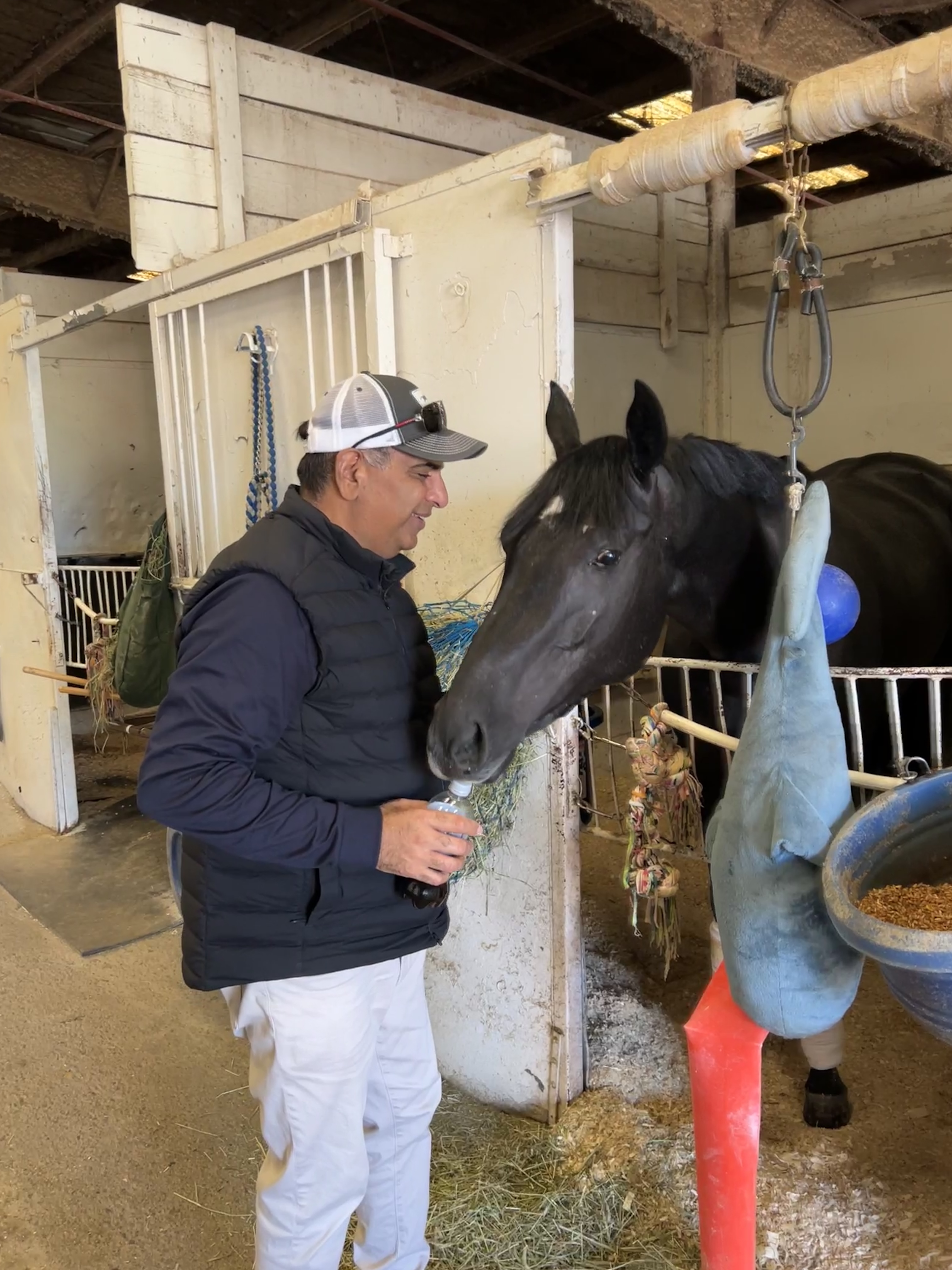 A quiet moment between a man and a dark horse in its stall