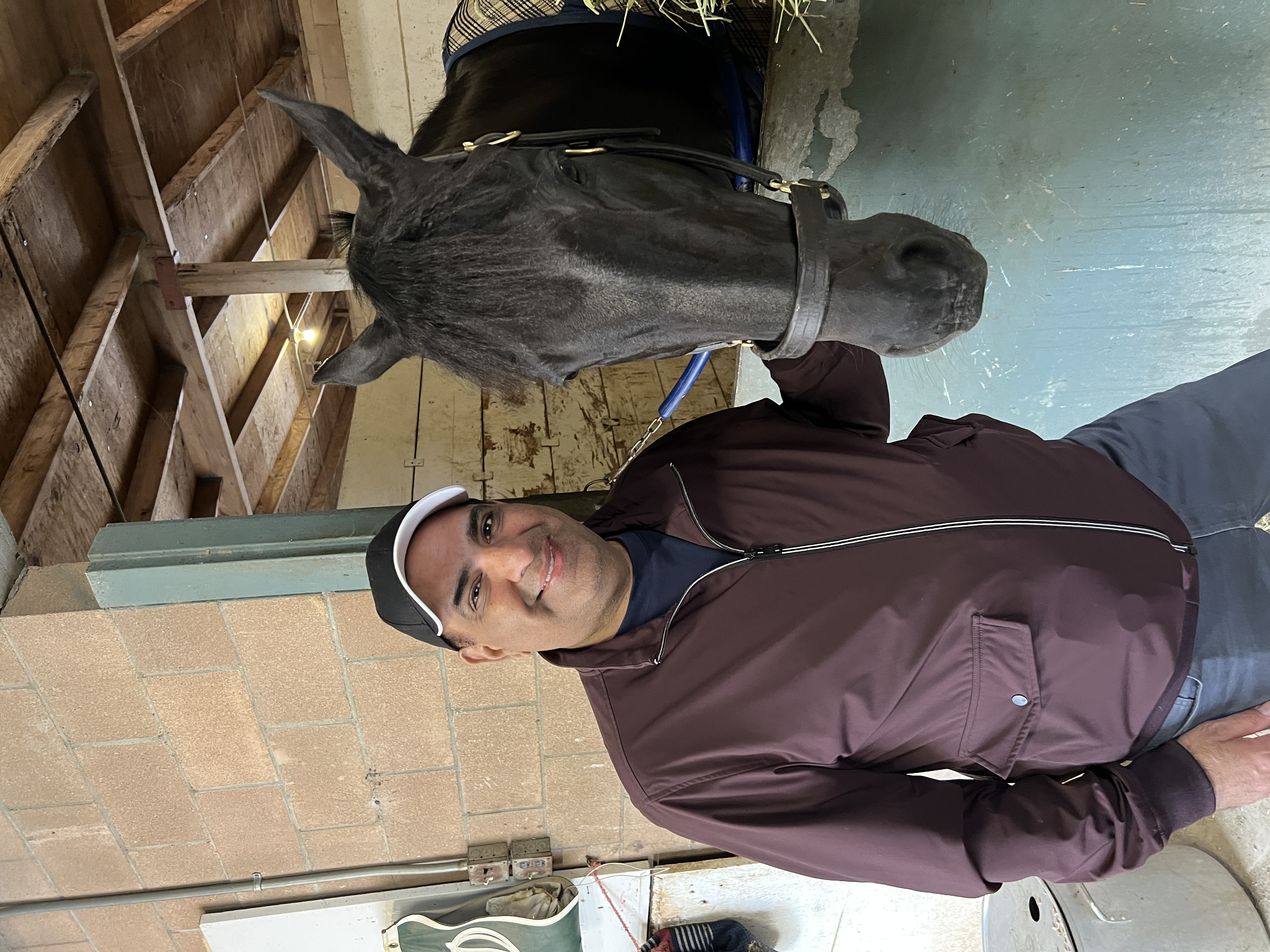 A man standing beside a dark horse at the stable
